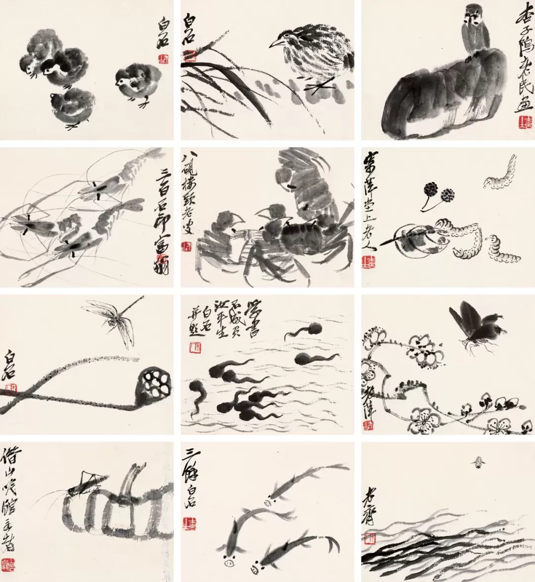 读画记：齐白石《致胡宝珠墨笔花虫册》