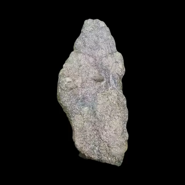 寒武纪贝韵：远古贝壳化石群块石